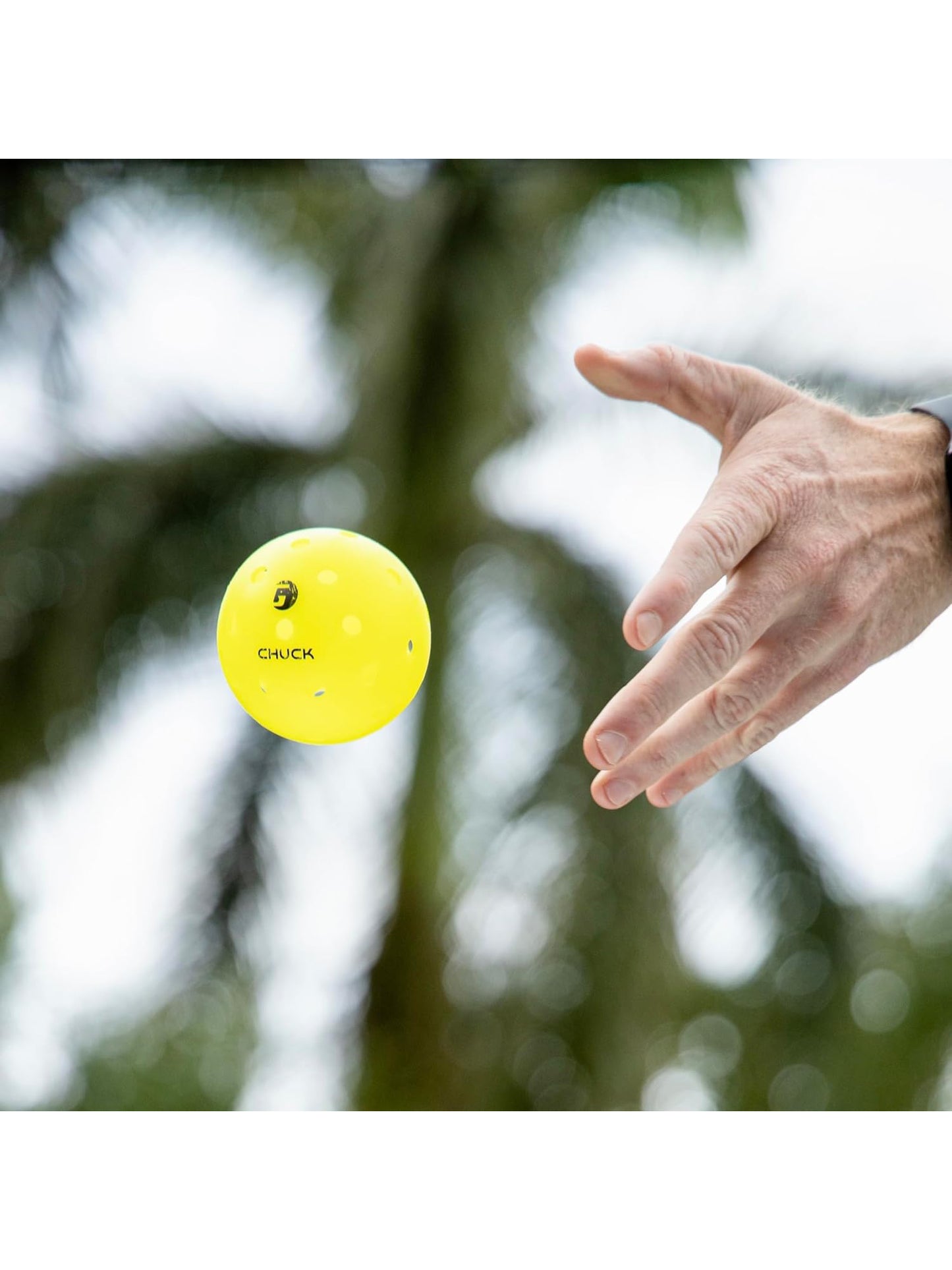 Gamma Chuck Outdoor Pickleball Balls (6-Pack)