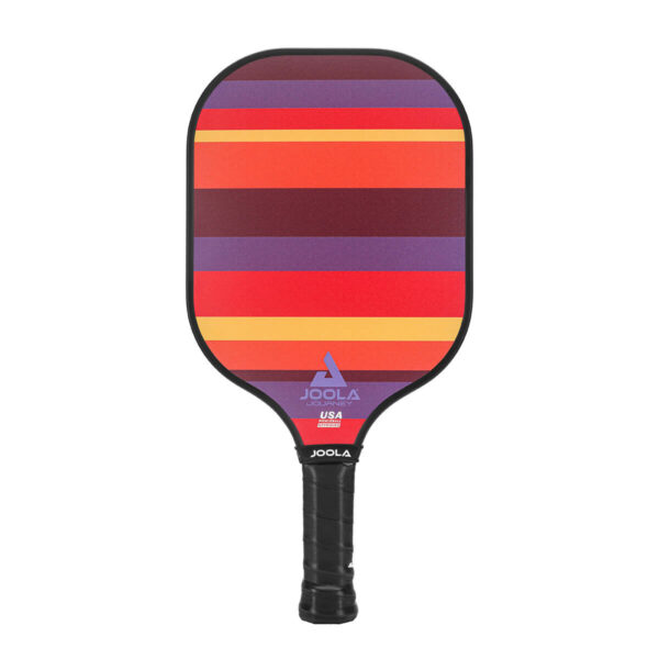 JOOLA - Journey Pickleball Paddle